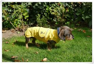 Dackeljoppe – Handgefertigte Dackeljoppen nach Maß und Ihren Wünschen